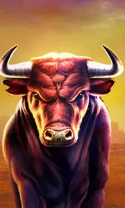 Black Bull